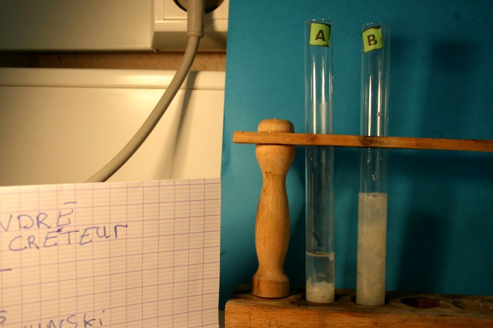 gal/LES_CINQUIEMES/ACTIVITE DIGESTION IN VITRO/Groupe_02/Groupe02_T_00h20min/Groupe02_temps00H20min_16.jpg